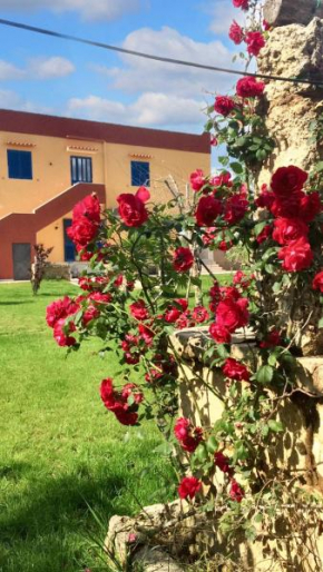Bright Studio in Gallipoli - 30 sqm + Enclosed Garden